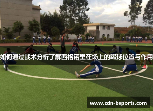 如何通过战术分析了解西格诺里在场上的踢球位置与作用