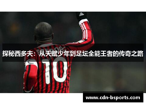 探秘西多夫：从天赋少年到足坛全能王者的传奇之路