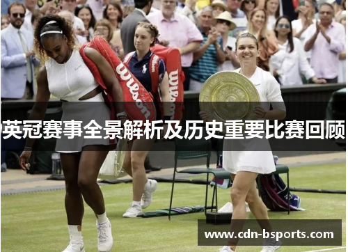 英冠赛事全景解析及历史重要比赛回顾