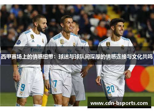 西甲赛场上的情感纽带：球迷与球队间深厚的情感连接与文化共鸣